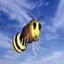bee.jpg