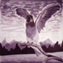 birds.jpg